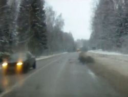 Ormanda Seyir Halindeki Araca Çarpan Geyiğin Görüntüsü, Kameraya Böyle Yansıdı