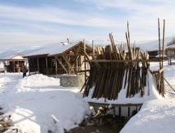 Tarih Kokan Ambarköy Açık Hava Müzesi, Bu Yıl Açılacak