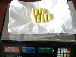 İsviçre'nin Uyarısı Kadın Kuryeyi Yakalattı