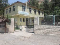 Kelaynaklar Üreme İçin Doğaya Bırakıldı