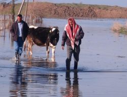 Hatay Valiliği: Selzedelere Gereken Yardımlar Yapıldı