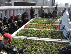 Erbakan, Kabri Başında Anıldı!