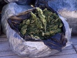 Aksaray'da  64 Kilogram Esrar  Ele Geçirildi!