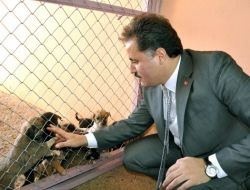 Malatya’da Hayvan Bakımevi Genişletiliyor