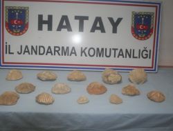 Hatay’da 14 Adet Fosil Ele Geçirildi!