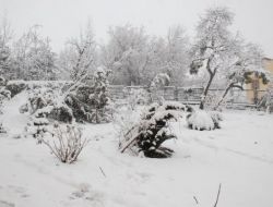 Ereğliler Beyaz Örtü İle Kaplanmış Şehre Uyandı