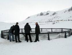 Erzincan'da Baraj Gölü Dondu!!