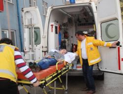 Elbistan'daki Cıva Zehirlenmesi