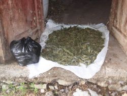 Alanya'da Polis 5 Kilo Esrar Ele Geçirdi