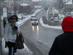 Martıların Balık Kampa Yarışı