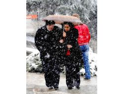 Kar Yağışı Samsun'da Hayatı Olumsuz Etkiliyor