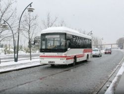 Karla Mücadele Devam Ediyor