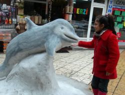 Kardan Yunus Balığı Çocukların İlgi Odağı Oldu