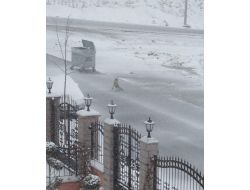 Doğada Yiyecek Bulamayan Tilki Yenimahalle Çayyolu'na İndi