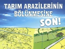 Tarım Arazilerinin Bölünmesini Önlemek İçin 50 Bin Kişiyle Anket Yapılacak