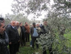 Edremit'in Köylerinde Çiftçi Eğitimlerine Devam Ediliyor