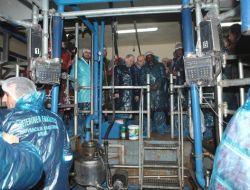 Ganalı Bakan, Aü'de Uygulama Ahır Ve Hayvan Sağım Ünitelerini Gezdi