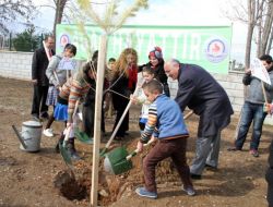 Denizli’de Öğrenciler Bu Yıl 100 Bin Ağaç Dikecek