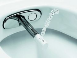 Belçika, Taharet Musluğunu Keşfetti