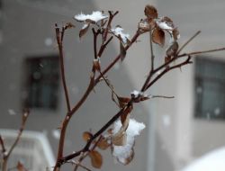 Kar, Ankara-kayseri Karayolu'nda Ulaşımı Aksatıyor