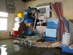 Su Altında Kalan Ahırda Koyunlar Kuzuladı İsimleri Asi Oldu