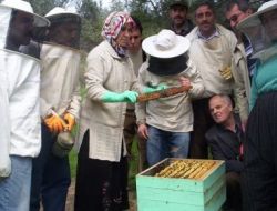 Sertifikalı Arıcılık Kursları İlgi Görüyor