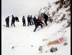 Erciyes Kar Kaplanları Yaban Hayvanları İçin Yemleme Yaptı