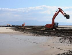 Dünyanın En Büyük Üçüncü Flamingo Adası İzmir'de Kuruluyor