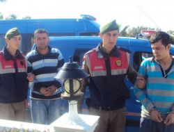 İnek Çaldığı İddiası İle Hakim Karşısına Çıkan 2 Kişi Tutuklandı