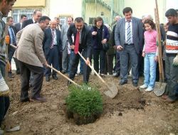 Çocuk Şuvası Bahçesi Dikilen Ağaçlarla Yeşillendirildi