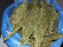 Kars'ta 7 Zehir Taciri Adliyeye Sevk Edildi