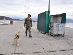 Tatbikatta Rodos Seferi Yapan Feribota Konulan Bomba İmha Edildi