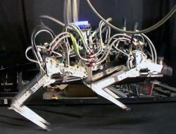 Koşan Robot ‘çita’ Hız Rekoru Kırdı