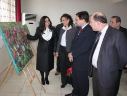 Ressam Hayrunnisa Çiftçi 14’üncü Sergisini Doğup Büyüdüğü Şehirde Açtı