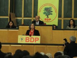 Bdp Genel Baskan Yardimcisi Gultan Kisanak