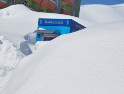 Bitlis'te Evler Kar Altında Kaldı