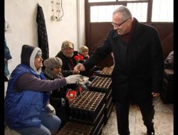 Orman Fidanlığı'nda Çalışan Bayanlardan Vatandaşa 5 Bin Fidan