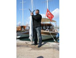 Dünyanın En Hızlı Balığını Zıpkınla Avladı