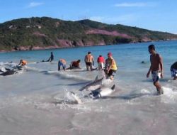 Karaya Vuran 30 Yunus Böyle Kurtarıldı