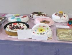 Hücre Modellerini, Pasta Yapıp Eğlenerek Öğreniyorlar