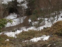 Otomobil Şarampole Yuvarlandı: 2'si Ağır 3 Yaralı