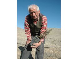 Emekli Öğretmen, 13 Yılda 30 Bin Fidanı Toprakla Buluşturdu