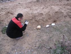 Kazı Çalışması Sonrası Kemikler Bulundu