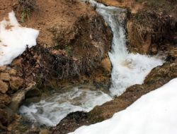 Başköy'deki Su Kirliliği Araştırılıyor