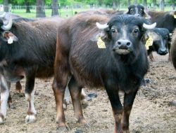 Bakanlık, Harekete Geçti!..