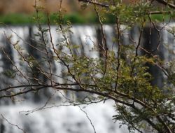 İskenderun’da Kartpostallık Manzaralar