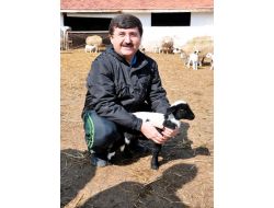 Amasya Valisi Öz, Gökhöyük Çiftliğini Gezdi