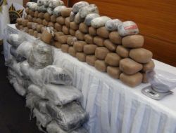 Hukuk Fakültesi Öğrencisine Narkotik Gözaltısı