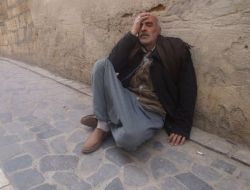 Ölen Yarış Atının Sırtında Ağladı