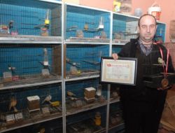 Tuttuğu Ofiste 60 Kanarya Kuşu İle Her Gün Ayrı Ayrı İlgileniyor